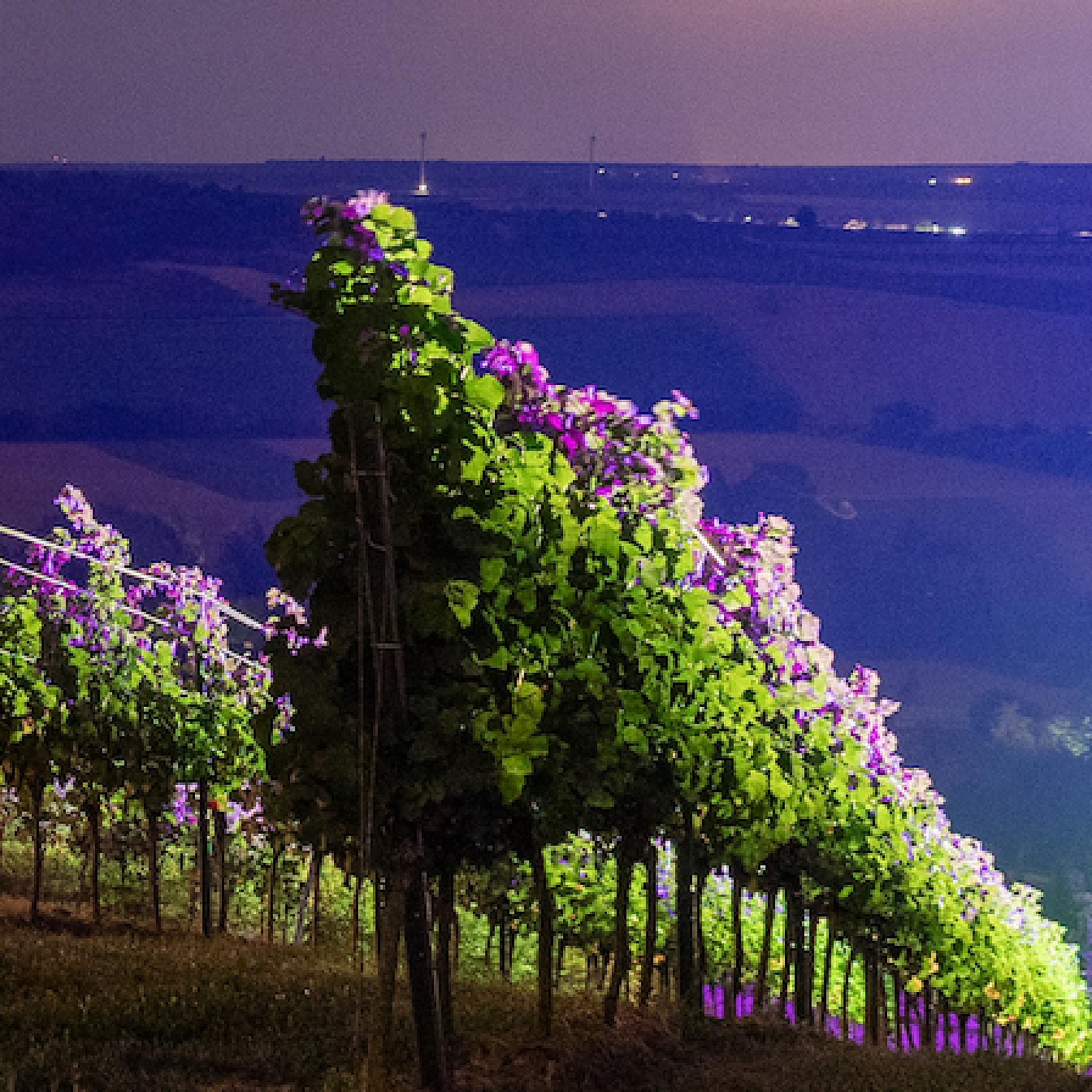 Header Background Small